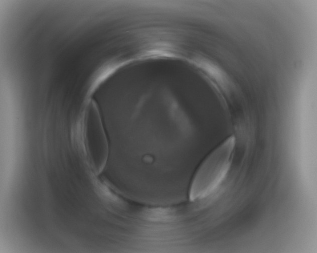 X0000114441373200910231310