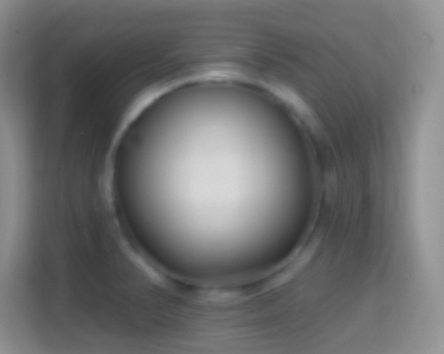 X0000114441374200910231310