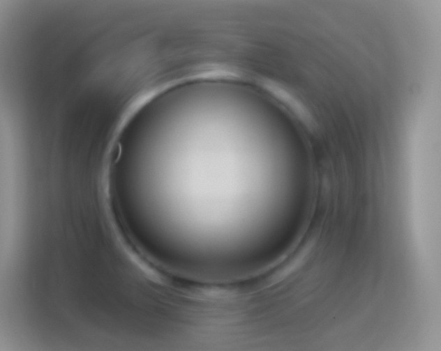 X0000114441375200910231310