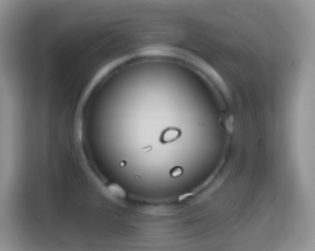 X0000114441376200910231310