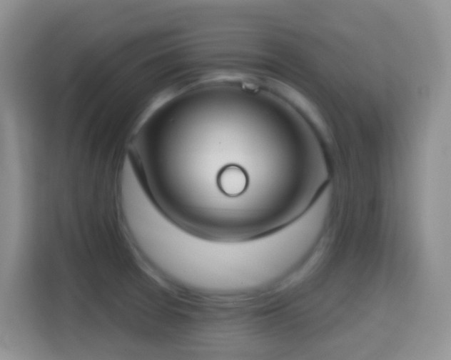 X0000114441377200910231309