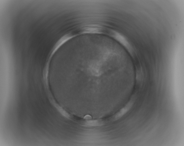 X0000114441378200910231309