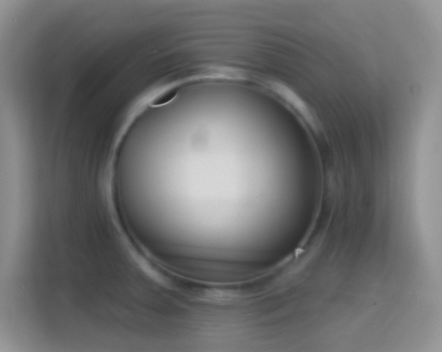 X0000114441379200910231309