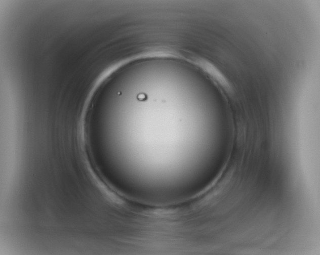 X0000114441380200910231309