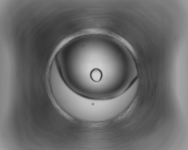 X0000114441381200910231309