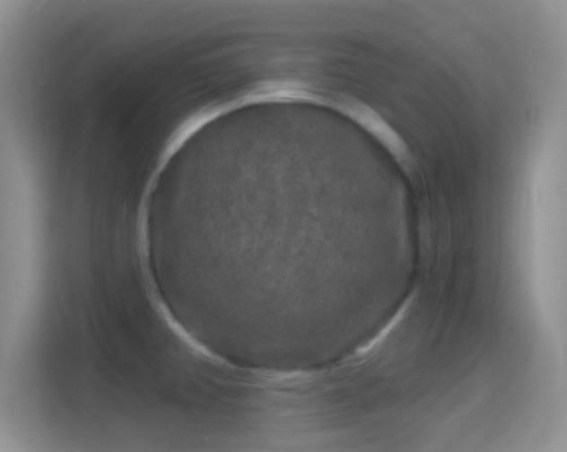 X0000114441382200910231309