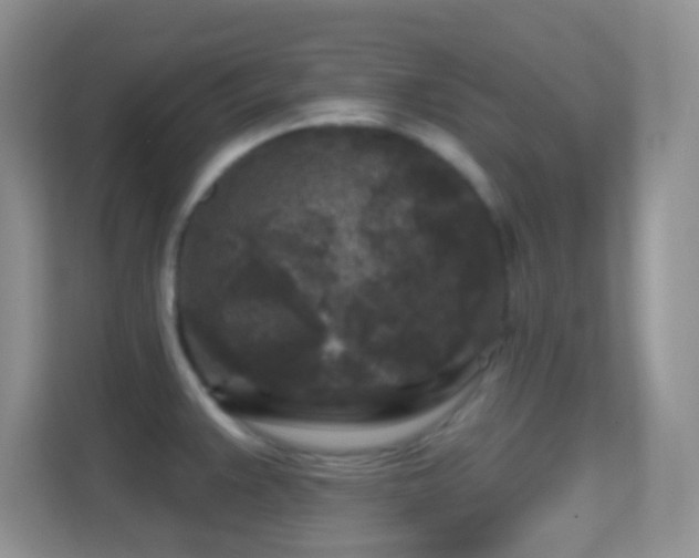 X0000114441383200910231309