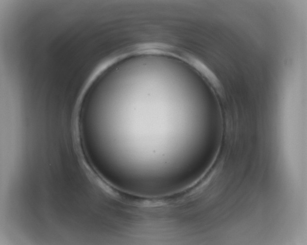 X0000114441384200910231309