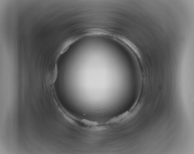 X0000114441385200910231309