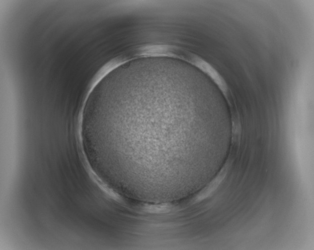 X0000114441386200910231309