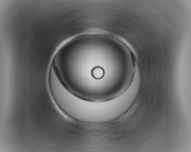 X0000114441387200910231309