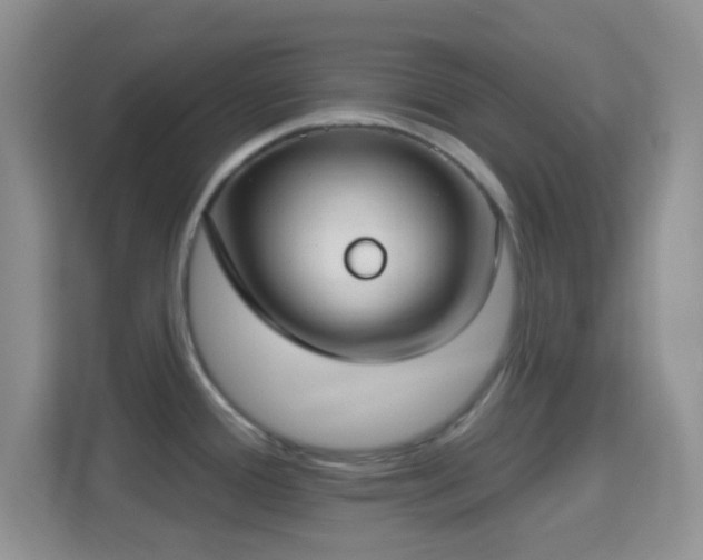 X0000114441388200910231309