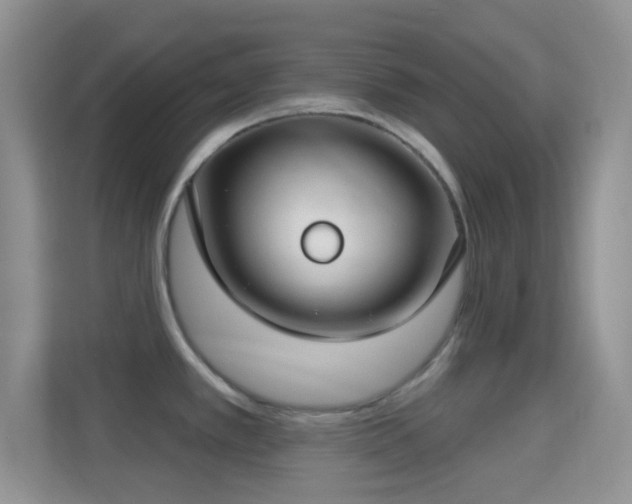 X0000114441389200910231309