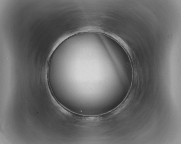 X0000114441390200910231309