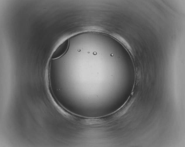 X0000114441391200910231309