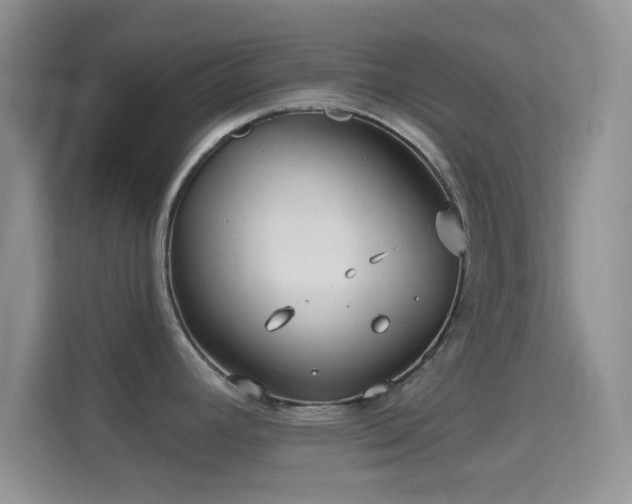 X0000114441392200910231309