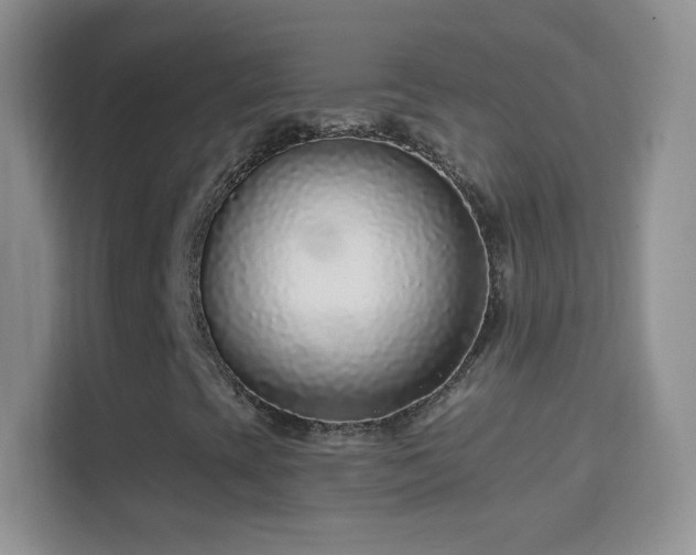 X0000114441393200910231309