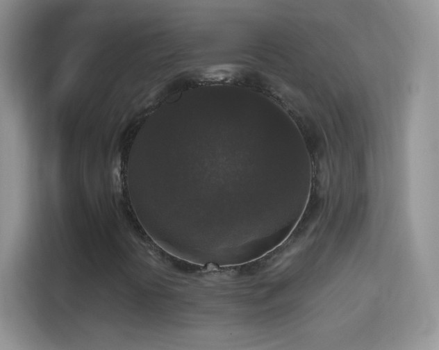 X0000114441394200910231309