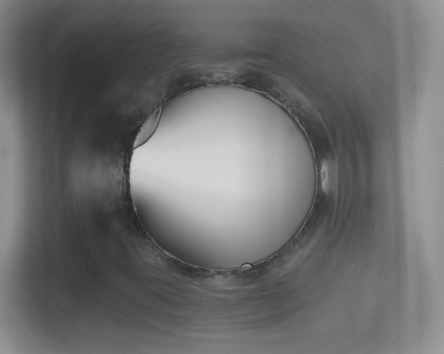 X0000114441395200910231309