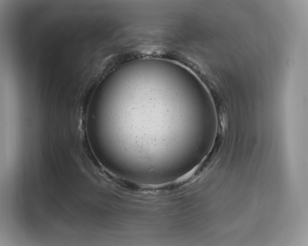 X0000114441396200910231309