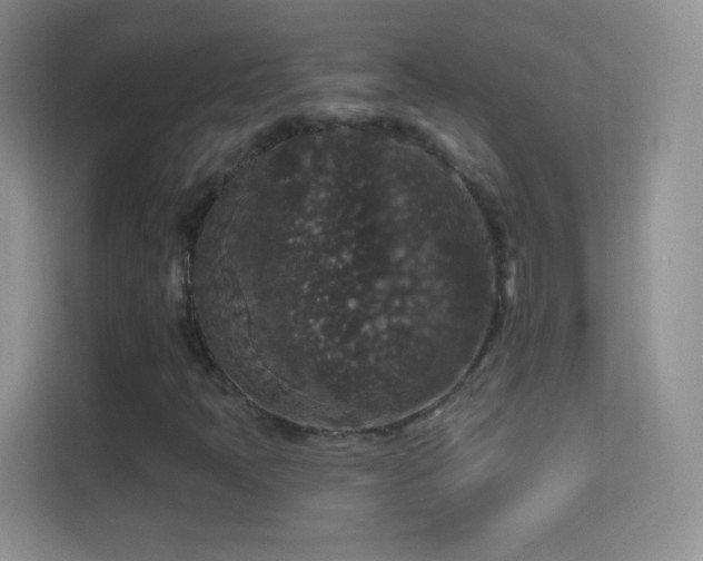 X0000114441397200910231309