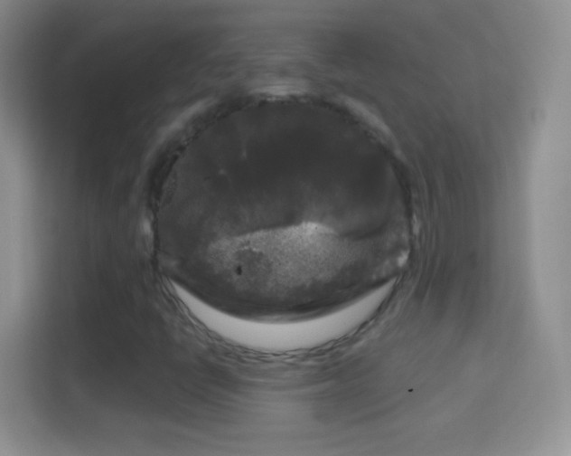 X0000114441398200910231309