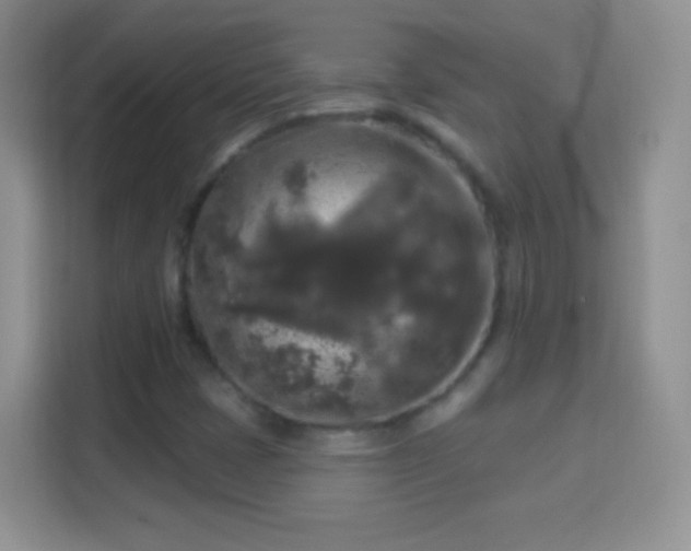 X0000114441401200910231309