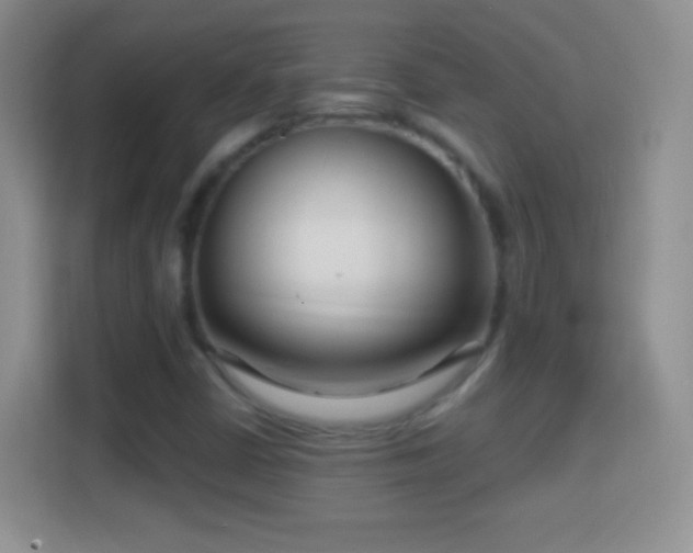 X0000114441402200910231309