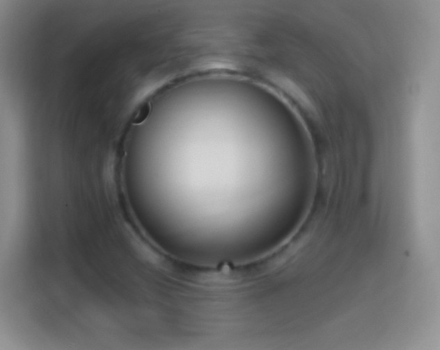 X0000114441404200910231309