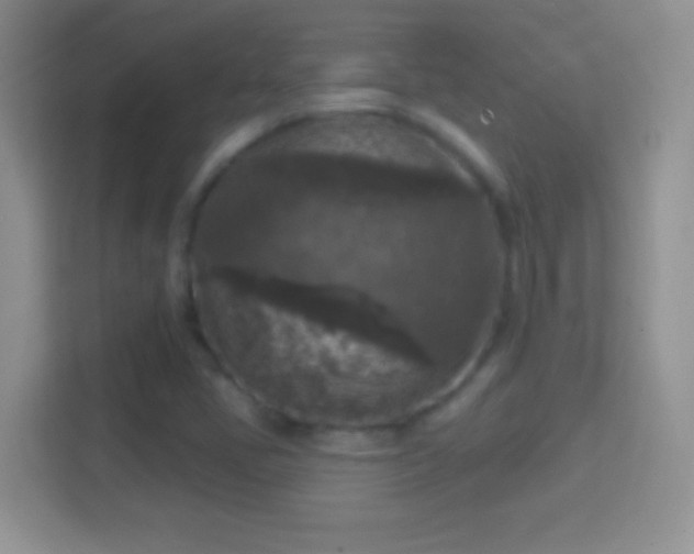 X0000114441405200910231309