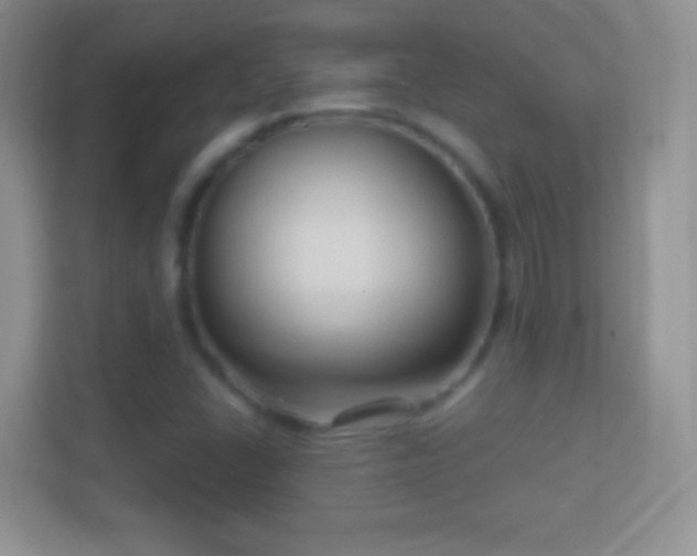 X0000114441406200910231309