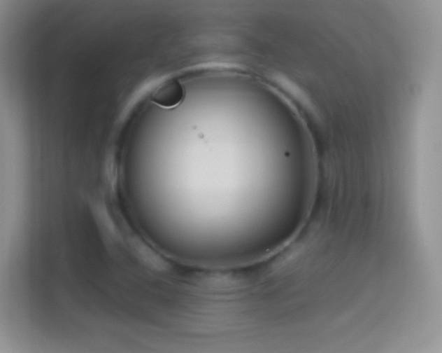 X0000114441408200910231309