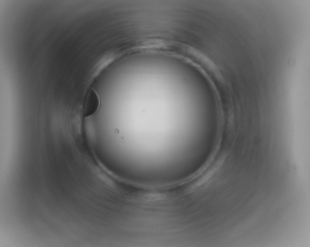 X0000114441409200910231309