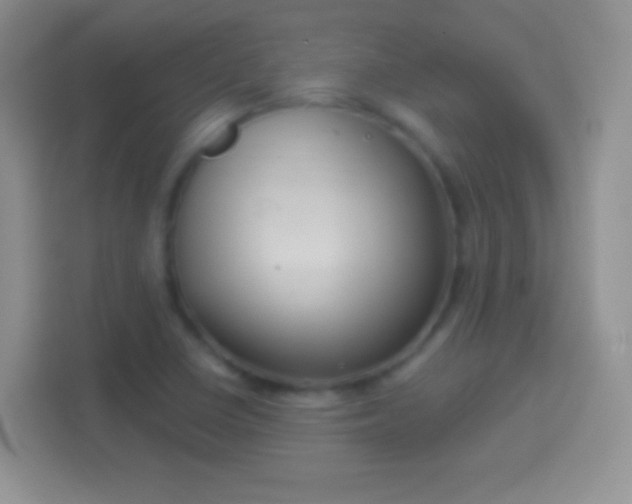 X0000114441410200910231309