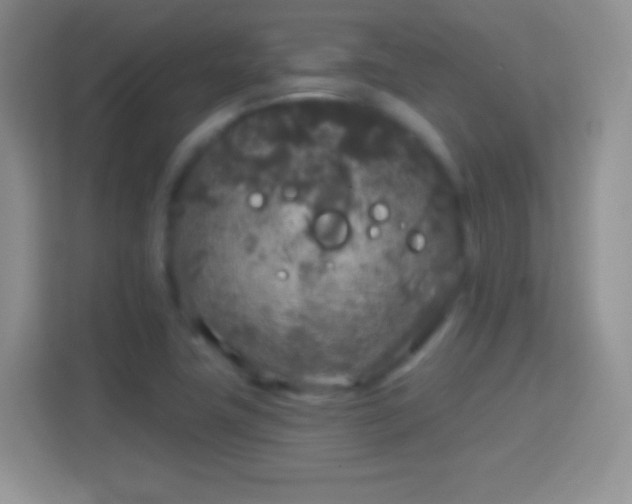 X0000114441411200910231309