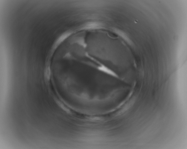 X0000114441413200910231309