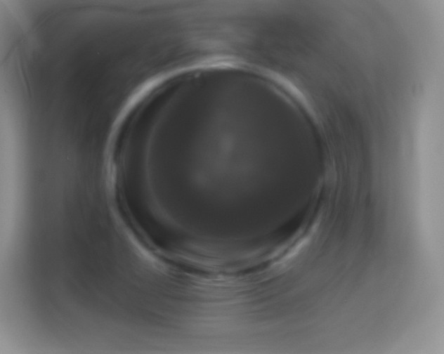 X0000114441414200910231309