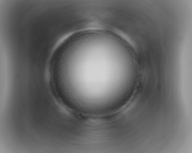 X0000114441415200910231309