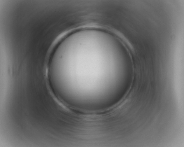 X0000114441416200910231309