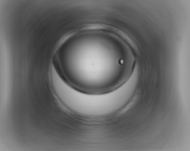 X0000114441417200910231309