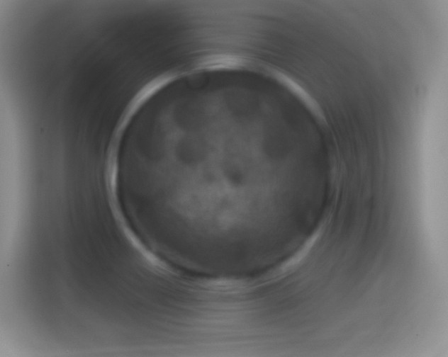 X0000114441418200910231309