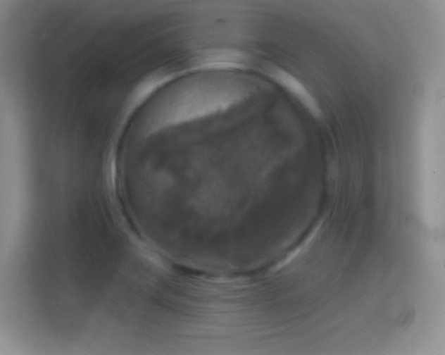 X0000114441419200910231309