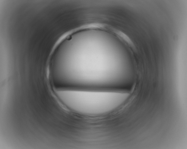 X0000114441420200910231309