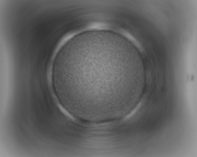 X0000114441421200910231309