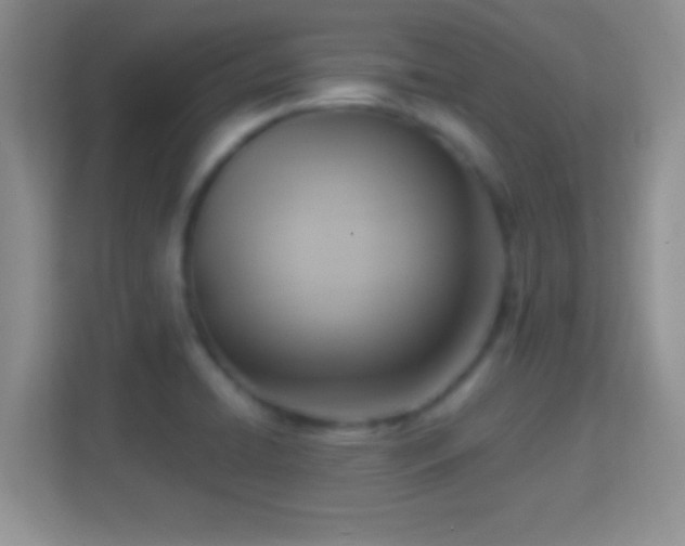 X0000114441422200910231309