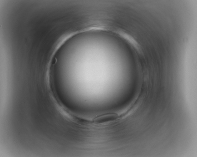 X0000114441423200910231309