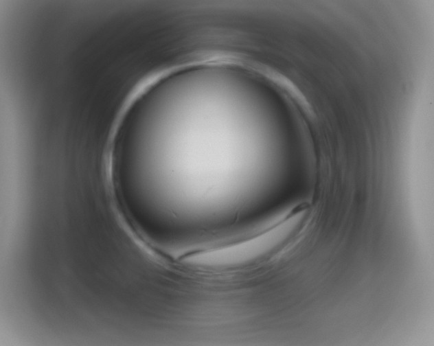 X0000114441424200910231309