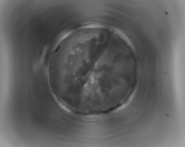 X0000114441425200910231309