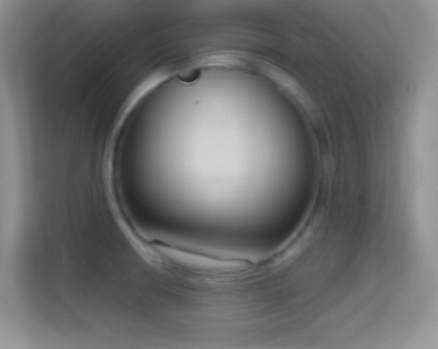 X0000114441426200910231309