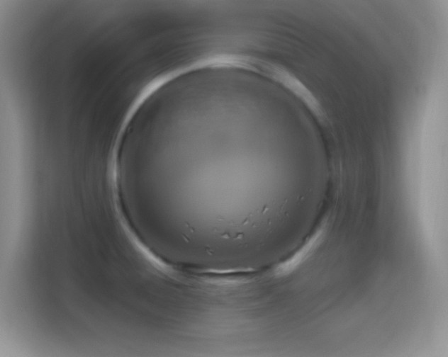 X0000114441428200910231309